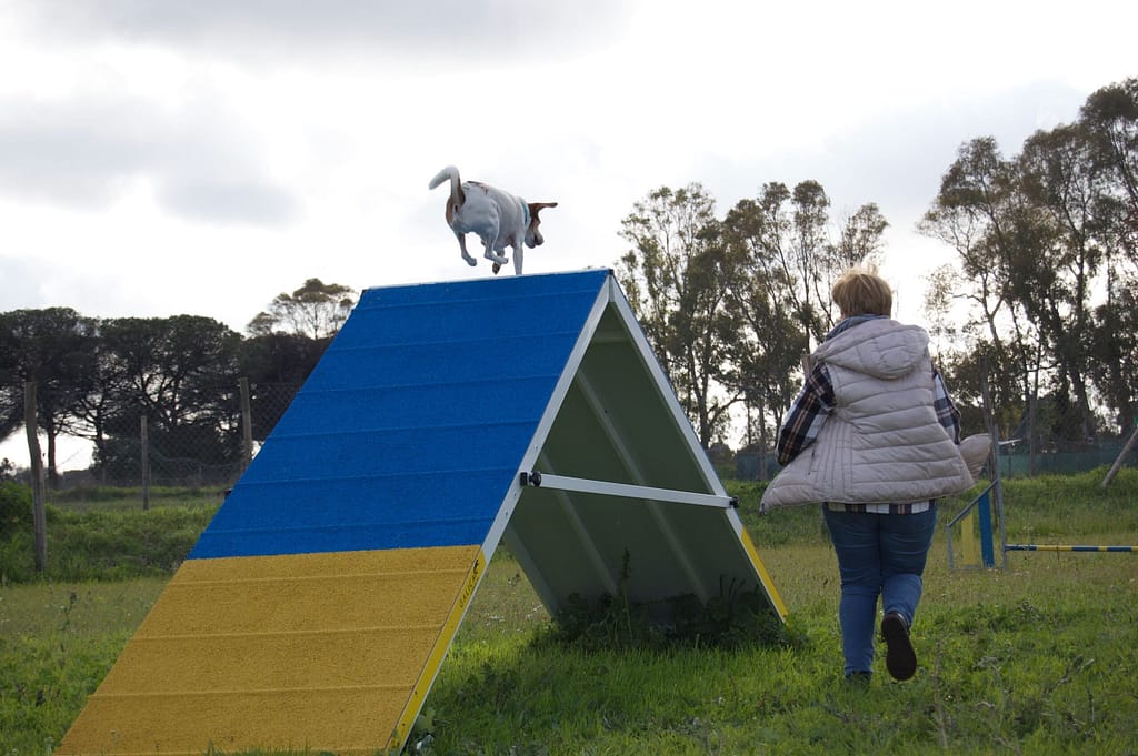 2024 mar 23 campo open day 9