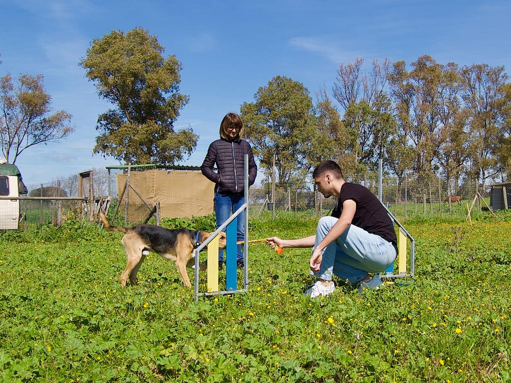 2024 mar 23 campo open day 1
