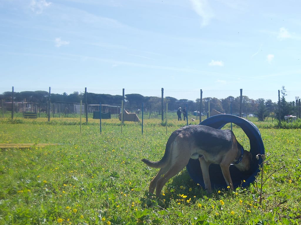2024 mar 23 campo open day 2
