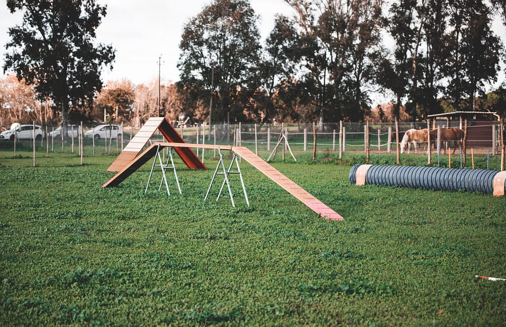 L'Ombra del Lupo campo agility