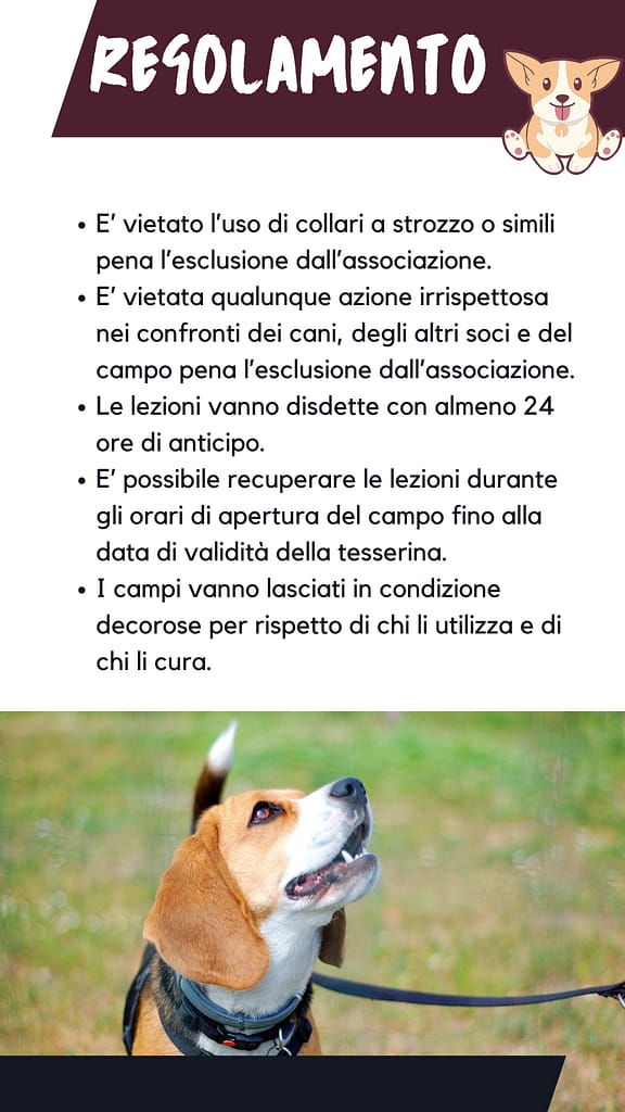 Regolamento Regolamento 576x1024