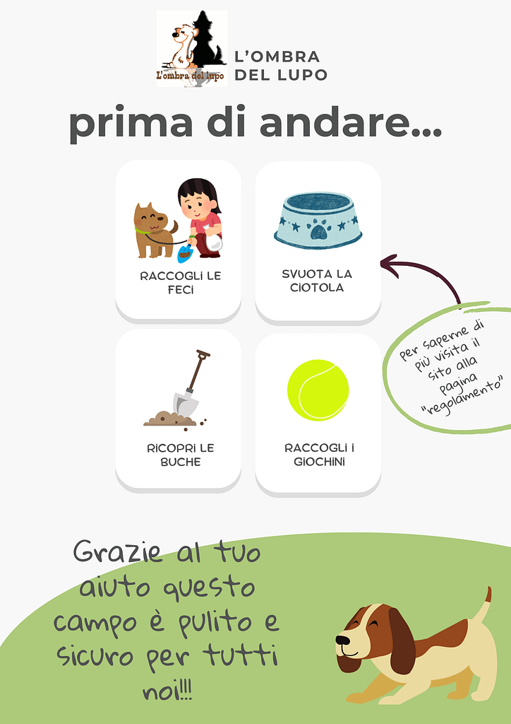 Regolamento Regolamento Cancelli 724x1024