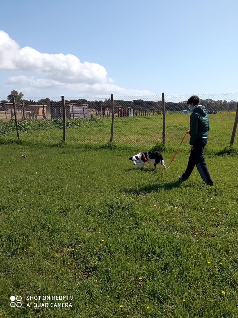 Educazione o addestramento? IMG 20210313 WA0013